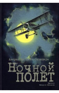 Ночной полет