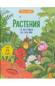 Растения. От петрушки до секвойи