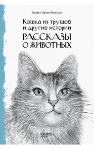 Кошка из трущоб и другие истории