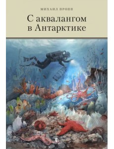 С аквалангом в Антарктике С аквалангом в Антарктике