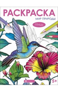 Книжка-раскраска Мир природы. Птицы