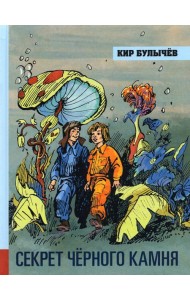 Секрет чёрного камня