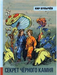 Секрет чёрного камня Секрет чёрного камня