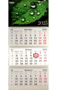 Календарь на 2025 год трехблочный Капли дождя