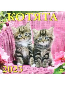 Календарь настенный на 2025 год Котята