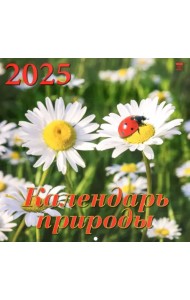 Календарь настенный на 2025 год Календарь природы