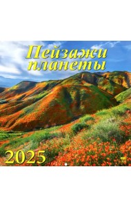 Календарь настенный на 2025 год Пейзажи планеты