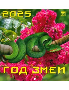 Календарь настенный на 2025 год Год змеи Календарь настенный на 2025 год Год змеи