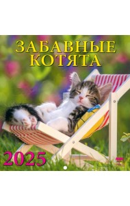 Календарь настенный на 2025 год Забавные котята