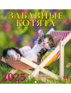 Календарь настенный на 2025 год Забавные котята