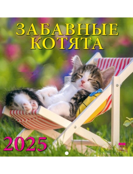 Календарь настенный на 2025 год Забавные котята