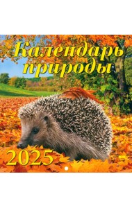 Календарь настенный на 2025 год Календарь природы