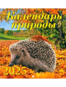 Календарь настенный на 2025 год Календарь природы