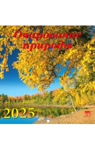 Календарь настенный на 2025 год Очарование природы