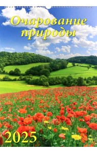 Календарь настенный на 2025 год Очарование природы