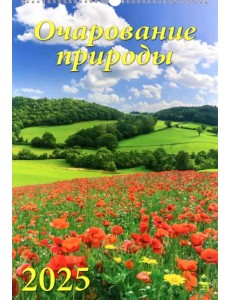Календарь настенный на 2025 год Очарование природы
