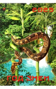 Календарь настенный на 2025 год Год змеи