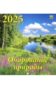 Календарь настенный на 2025 год Очарование природы
