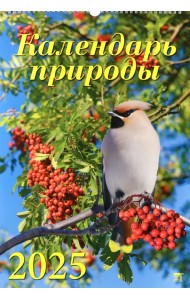 Календарь настенный на 2025 год Календарь природы
