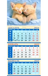 Календарь квартальный на магните на 2025 год Забавные котята