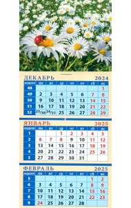 Календарь квартальный на магните на 2025 год Ромашки с божьей коровкой