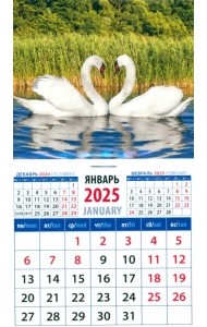 Календарь на магните на 2025 год Лебединая пара