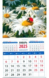 Календарь на магните на 2025 год Божья коровка на ромашке