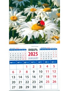 Календарь на магните на 2025 год Божья коровка на ромашке Календарь на магните на 2025 год Божья коровка на ромашке