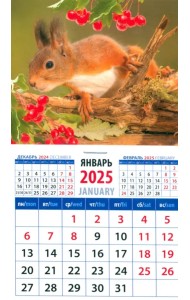 Календарь на магните на 2025 год Бельчонок