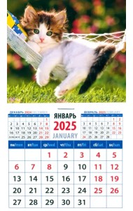 Календарь на магните на 2025 год Котенок в гамаке