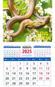 Календарь на магните на 2025 год Год змеи