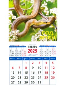 Календарь на магните на 2025 год Год змеи Календарь на магните на 2025 год Год змеи