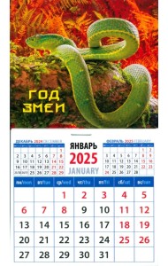 Календарь на магните на 2025 год Год змеи