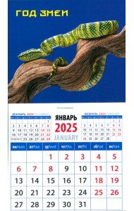 Календарь на магните на 2025 год Год змеи