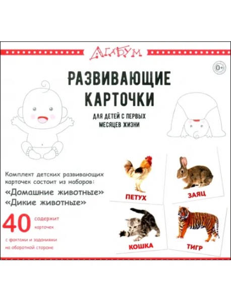 Домашние и дикие животные, 40 карточек