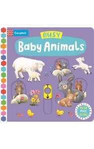 Busy Baby Animals