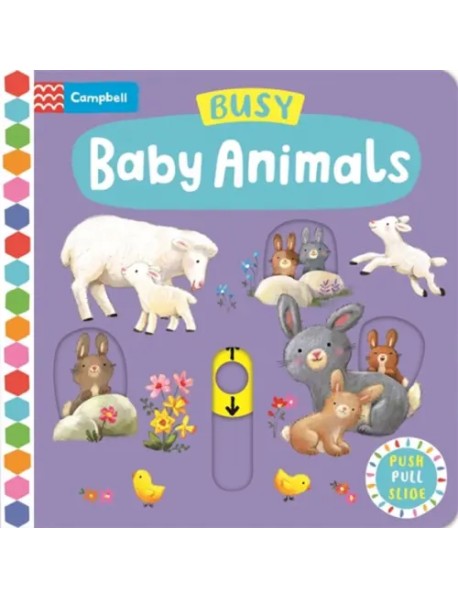 Busy Baby Animals