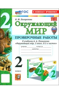 Окружающий мир. 2 класс. Проверочные работы к учебнику А. А. Плешакова