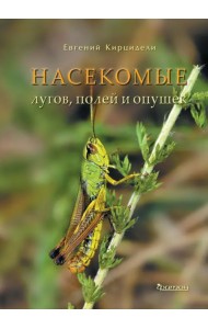 Насекомые лугов, полей и опушек