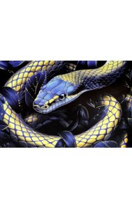 Картина по номерам с золотом на подрамнике Символ вечности