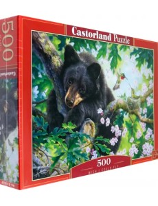 Puzzle-500 Хотел бы я летать! Puzzle-500 Хотел бы я летать!