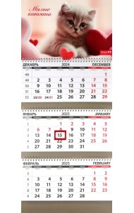 Календарь квартальный на 2025 год Кошки. Милые котята