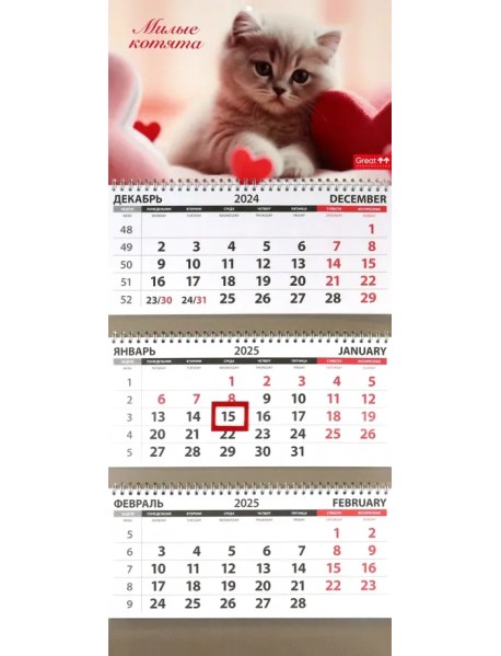 Календарь квартальный на 2025 год Кошки. Милые котята