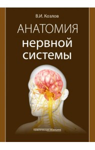 Анатомия нервной системы. Учебное пособие