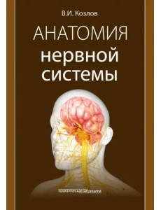 Анатомия нервной системы. Учебное пособие Анатомия нервной системы. Учебное пособие
