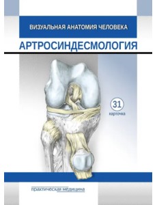 Визуальная анатомия человека. Артросиндесмология. Карточки, 31 штука Визуальная анатомия человека. Артросиндесмология. Карточки, 31 штука