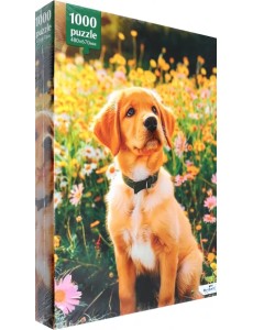 Пазл-1000 Прогулка с другом Пазл-1000 Прогулка с другом