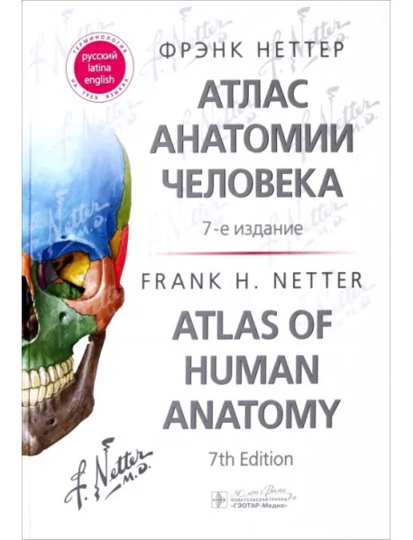 Атлас анатомии человека