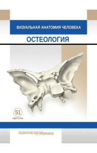 Визуальная анатомия человека. Остеология. Карточки, 51 штука