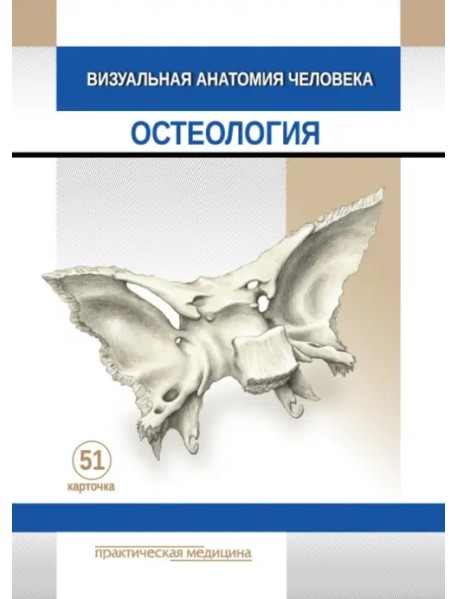 Визуальная анатомия человека. Остеология. Карточки, 51 штука